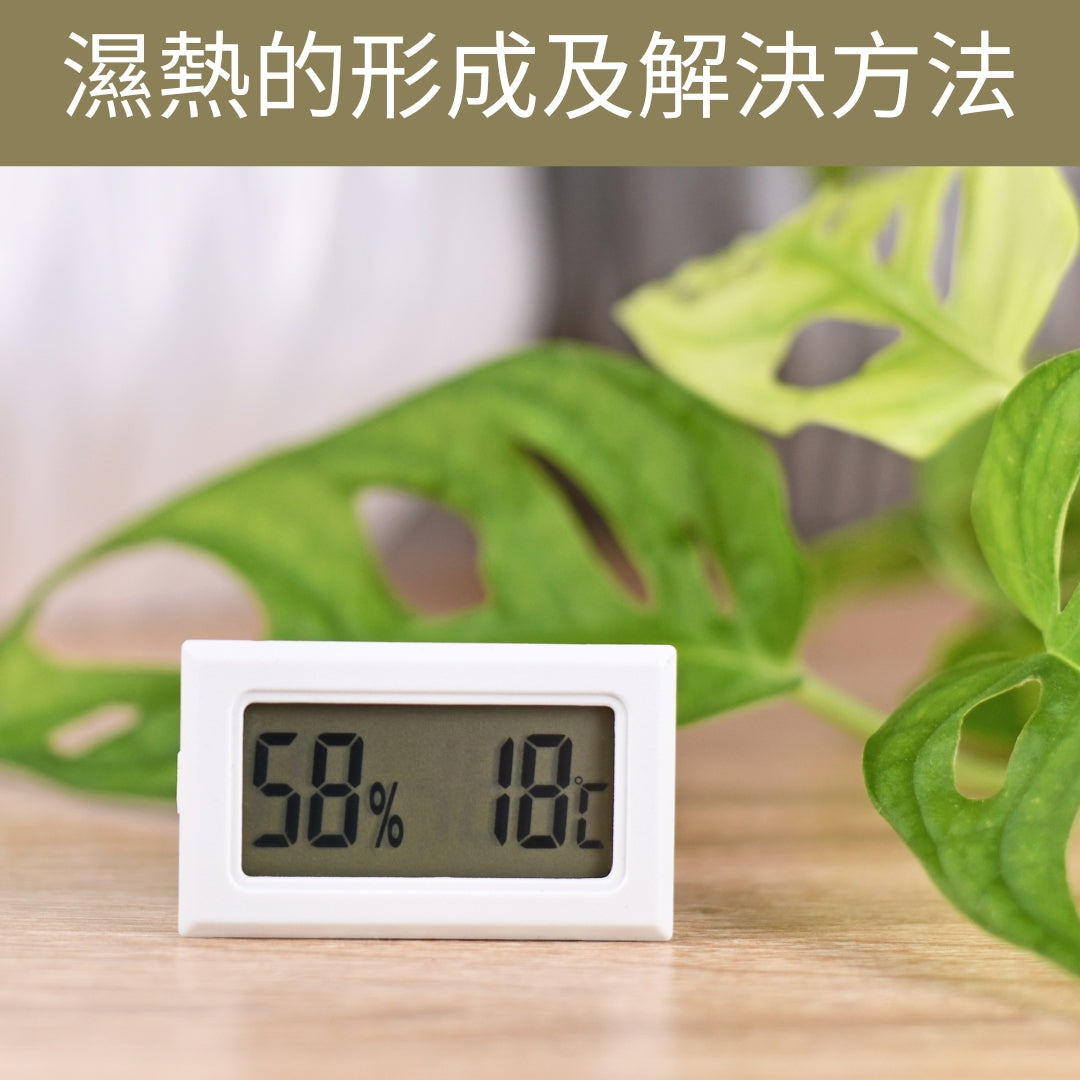 濕熱的形成及解決方法