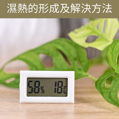 濕熱的形成及解決方法